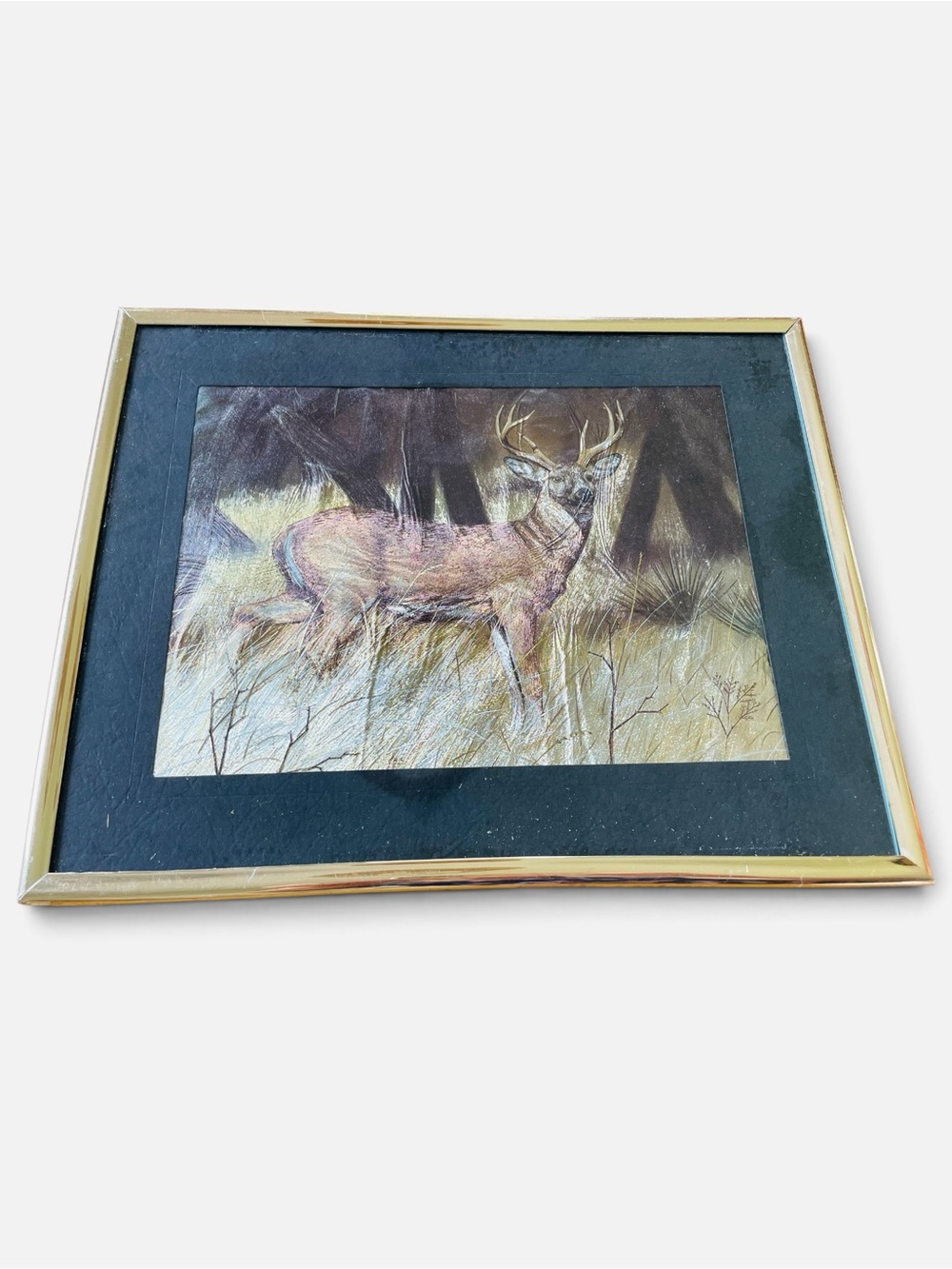 Framed Deer Wall Art in Brown and Gold